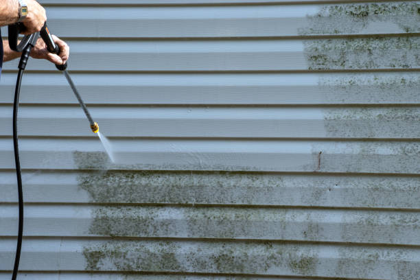 Best Residential Junk Removal  in Berwick, PA