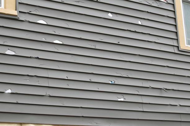 Best Dumpster Rental Services  in Berwick, PA